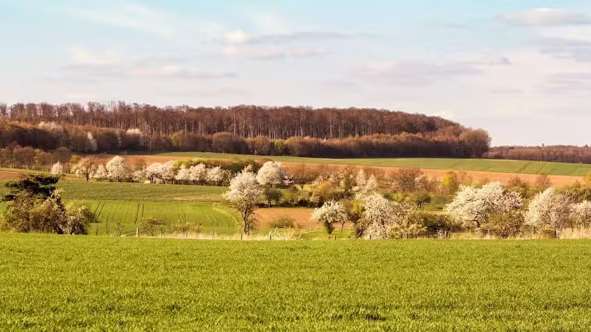 Monteurwohnung Wohnbach