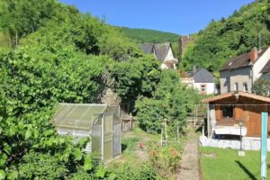 Mosel Ferienhaus Zell