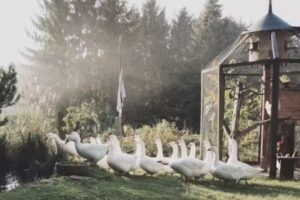 Muellerhof19 &ndash; Kunst & Genuss und Unterkunft