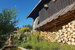 M&uuml;hle am Wolfsgrund