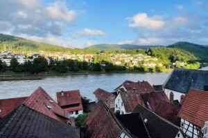 Neckarblick, Natur, Altstadt