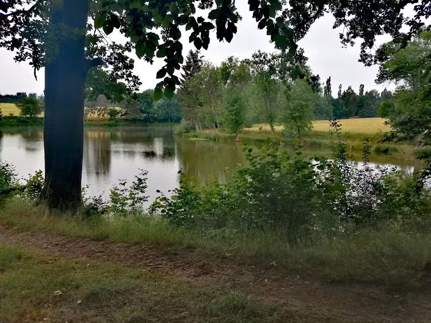 Neudorf