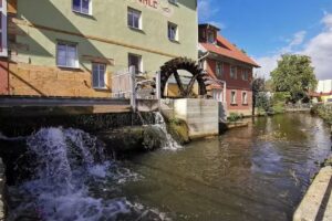 Neum&uuml;hle