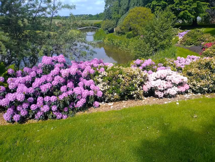 Ottos Ferienwohnung Norbert
