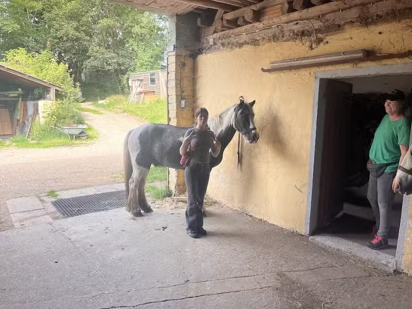 Paint Horse Ranch