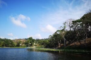 Panama Tours and Scuba SA