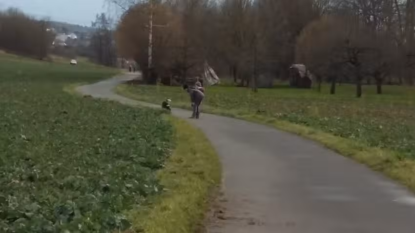 Pappler Pension Stern