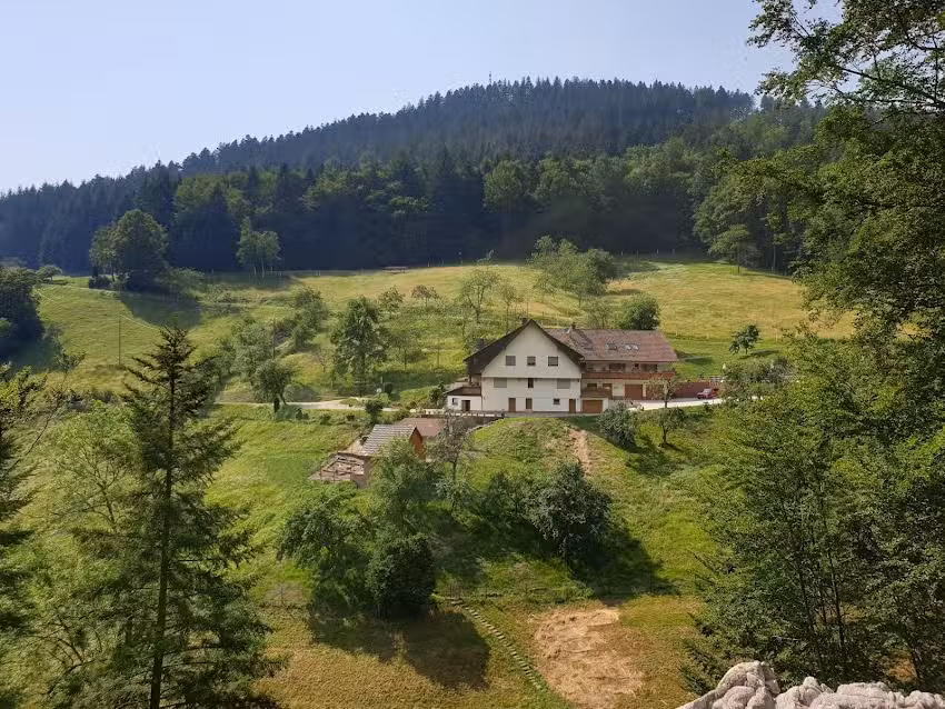 Paradies im Schwarzwald