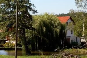 Pension Birkenhof &ndash; Astrid M&uuml;ller