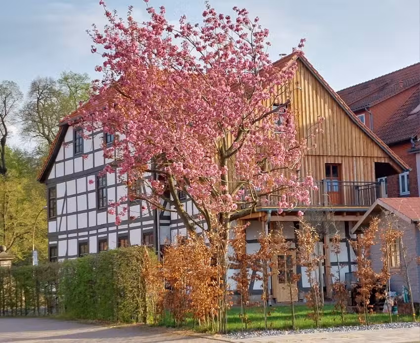 Pension Burgblick