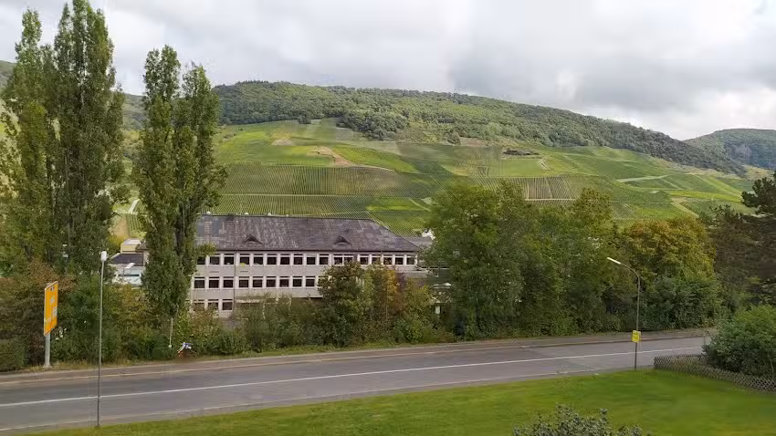 Pension Haus Irene