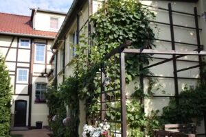 Pension Helene an der Schwarza – Manuela Jorgas