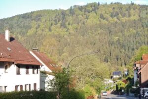 Pension K&uuml;bler