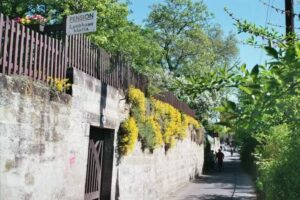 Pension Landhaus Maria am Blauen Wunder