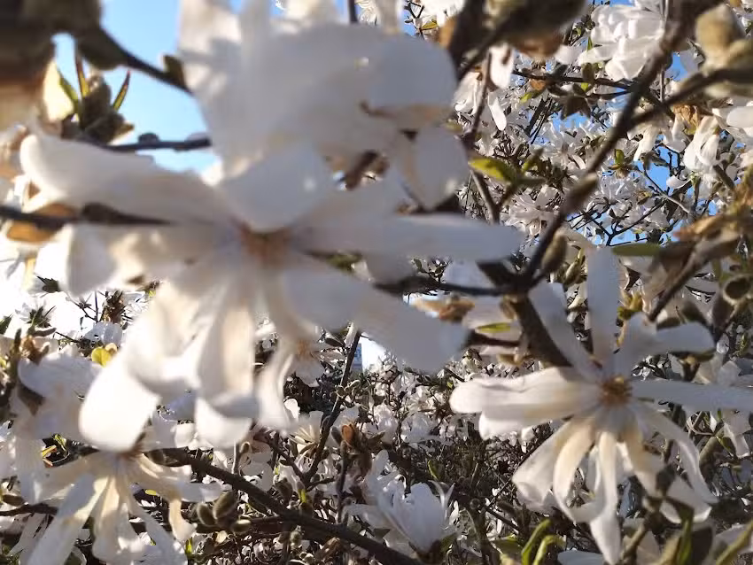Pension Pilz D&ouml;beln