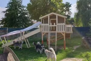 Pension Romisch
