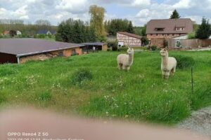 Pension Staude