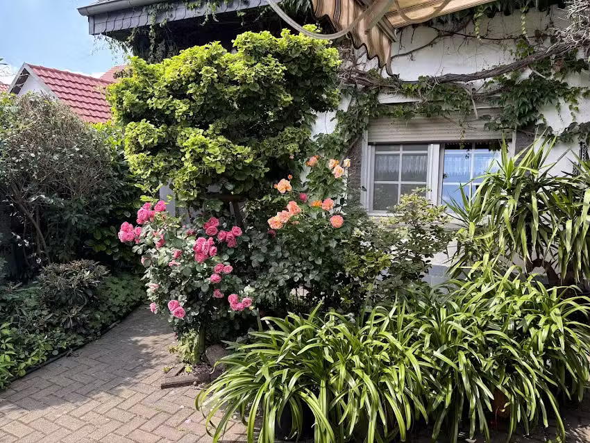 Pension & Weinhaus Storchenblick