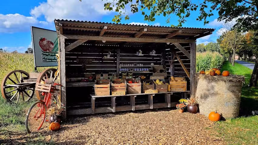 Ponyhof Heilers-Froning