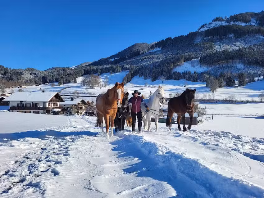 Ponyhof Sch&ouml;llang