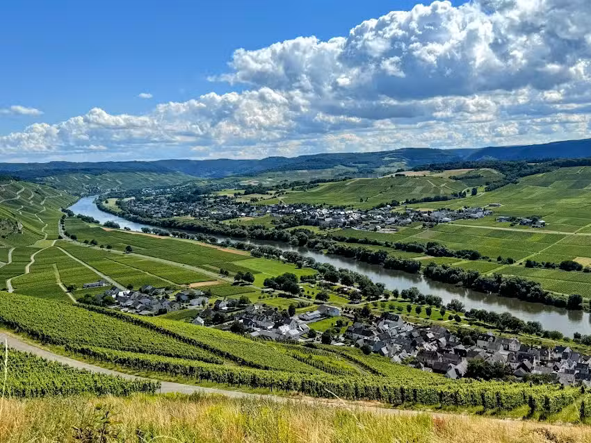 ProKla Wohlf&uuml;hloasen