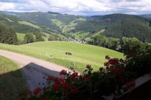 Recklemartinshof