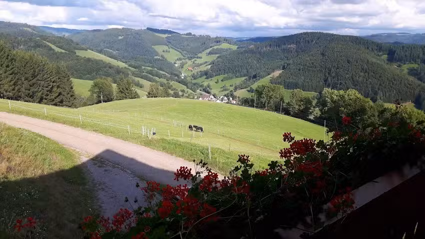 Recklemartinshof