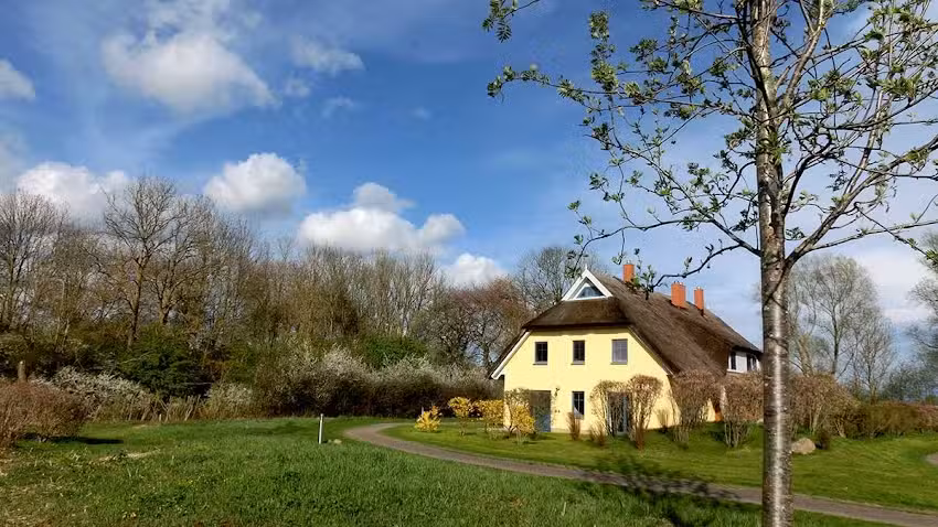 Reetdachhaus Malve