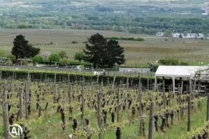 Reinhard Söngen Ferienwohnung