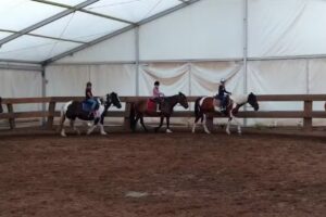 Reiter- & Ferienhof Schumann