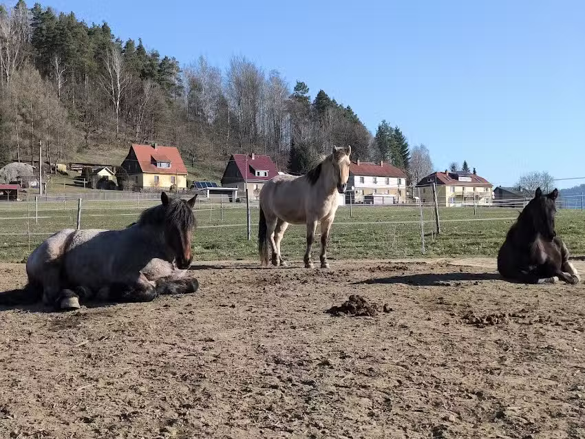 Reiter- und Ferienhof Wacker