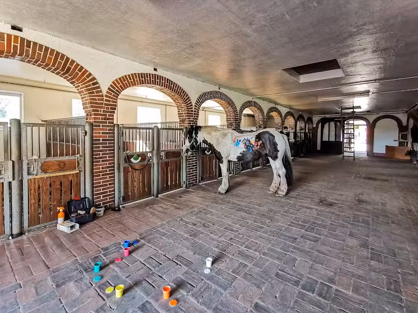 Reiterhof K&ouml;hler