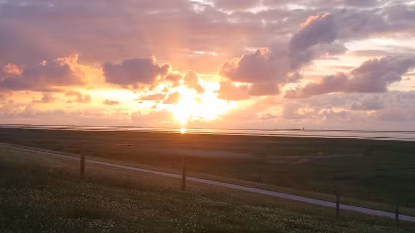 Remmers Deichsch&auml;ferei