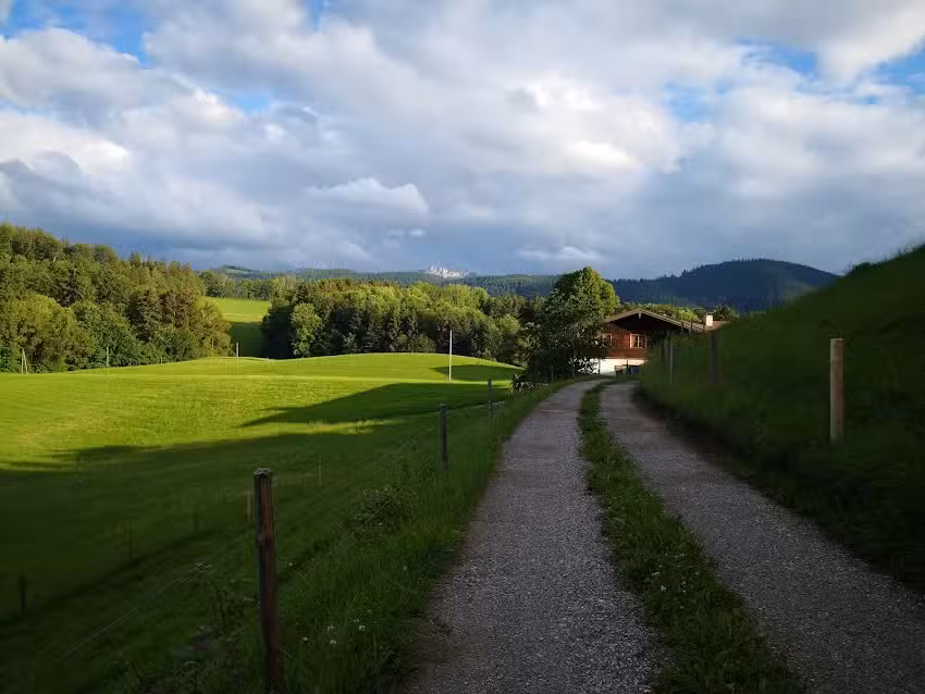 Rosa Bonleitner Holzerhof