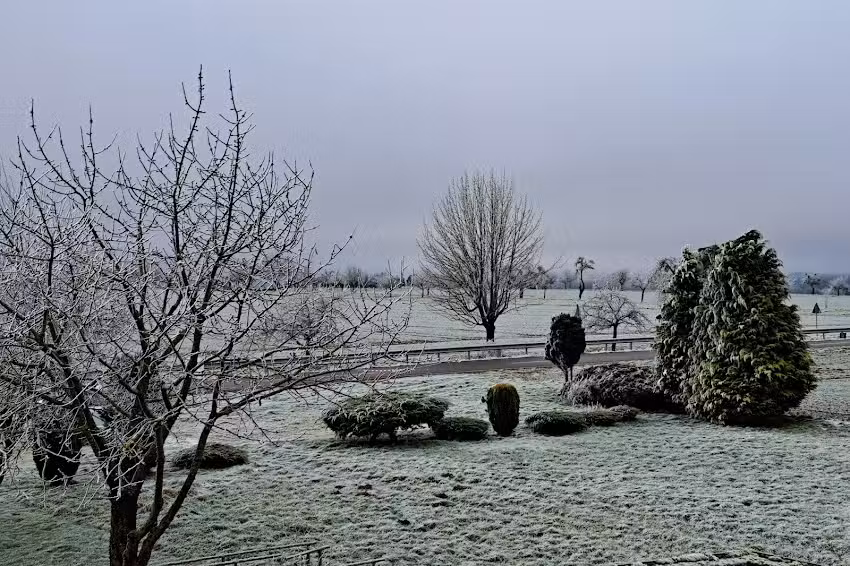 Rosemarie Bleser Grenzh&auml;userhof