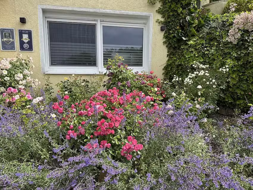 Rosengarten Schaumburg