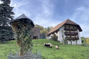 Sch&auml;flehof