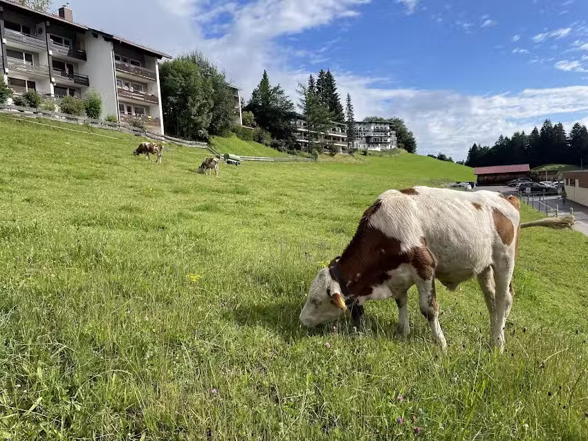 Schanzenblick Oberstdorf (Sauna)
