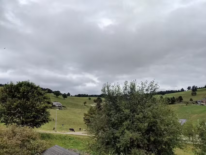 Schauinslandblick