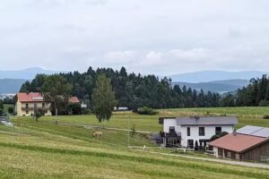 Schiller