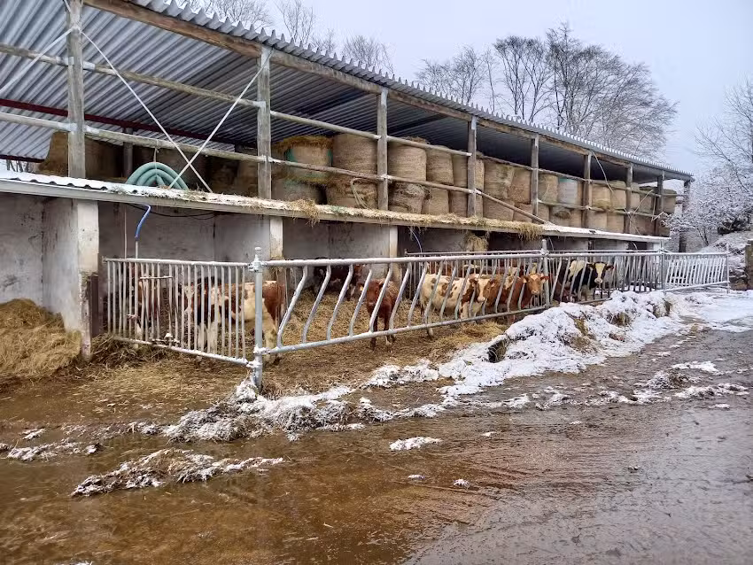 Schnee-Eifel-Hof: Ferienhaus Alexander
