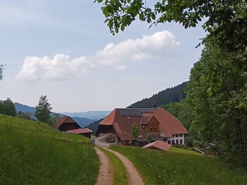 Schneiderhof Disch – Jörg Disch