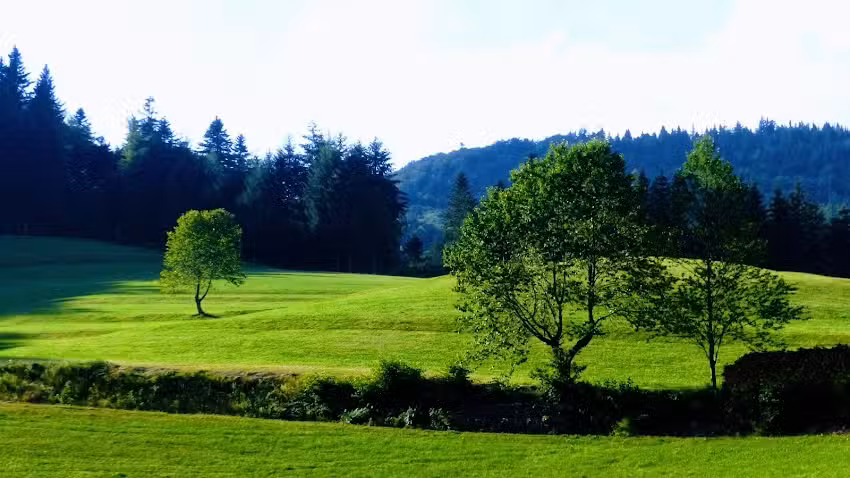 Sch&ouml;nerei Ferien- und Freizeithof