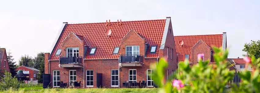 Schuppen deLuxe