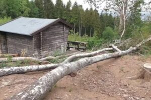 Schutz-/Wandererh&uuml;tte am Hermannsweg