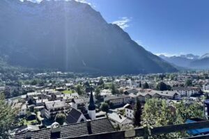 Schwalbennestl