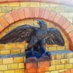 Schwarzer Adler