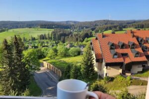 Schwarzwaldblick