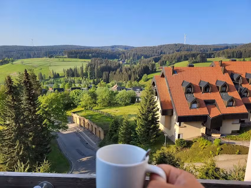 Schwarzwaldblick