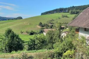 Schw&ouml;rerhof Schuttertal &ndash; Laulisgraben Hideaway